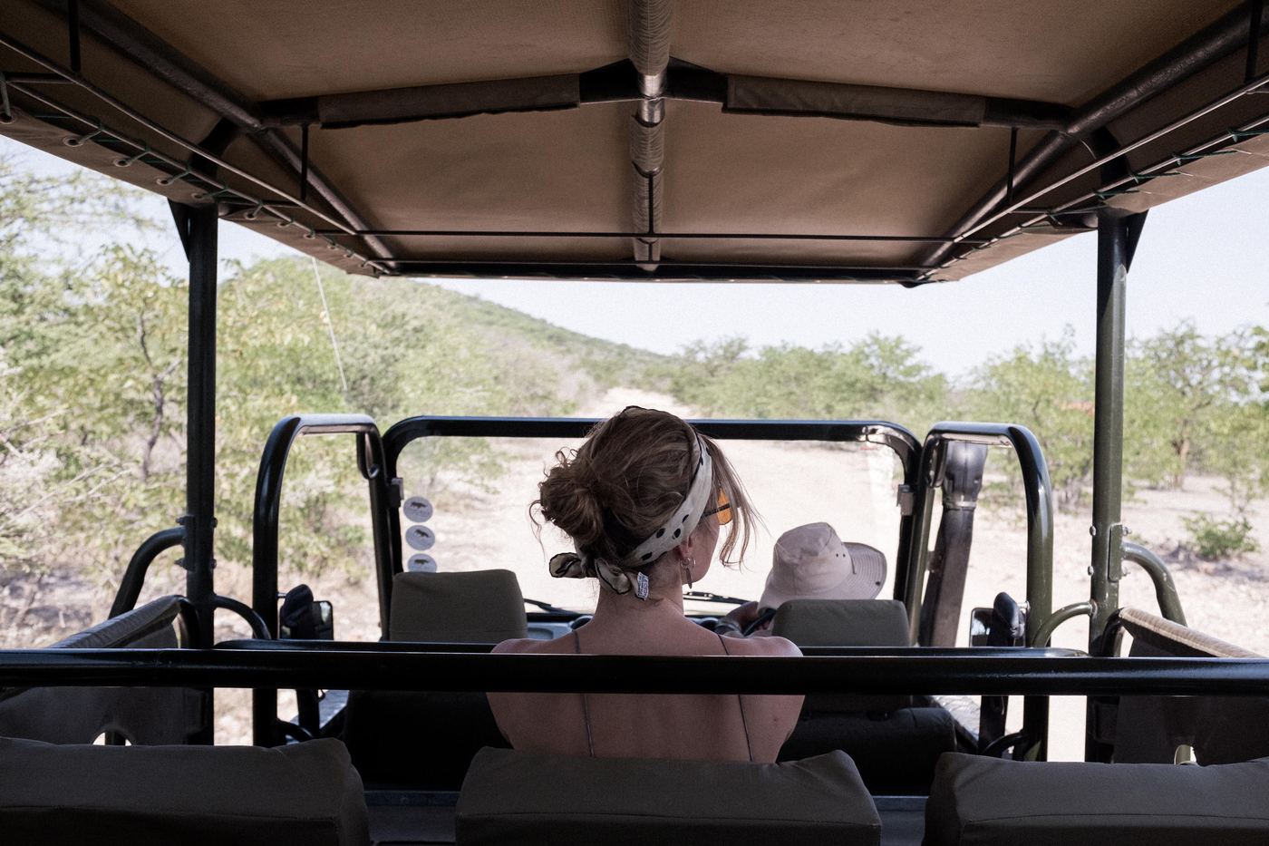 East Africa game drive