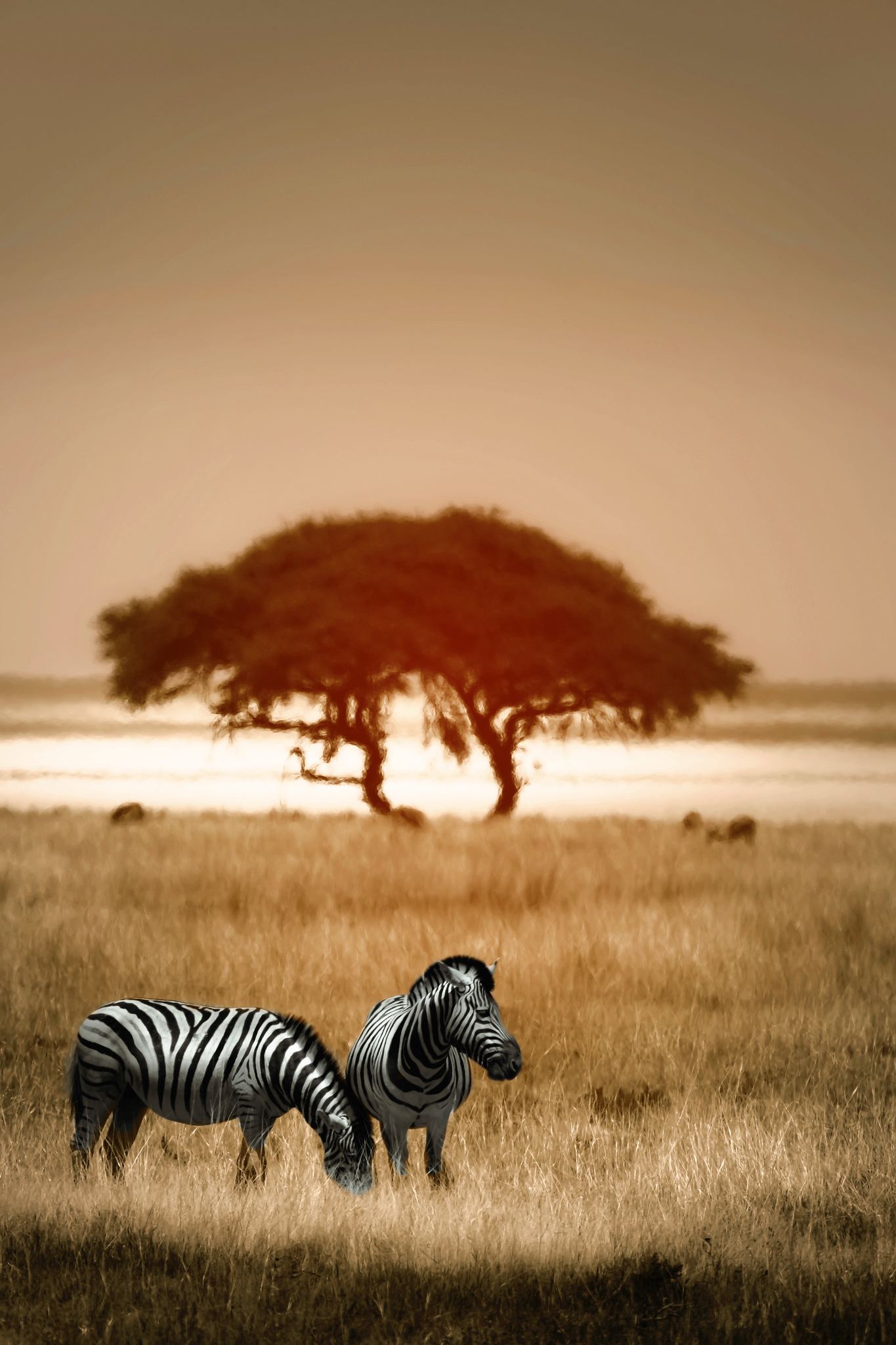 East Africa game drive