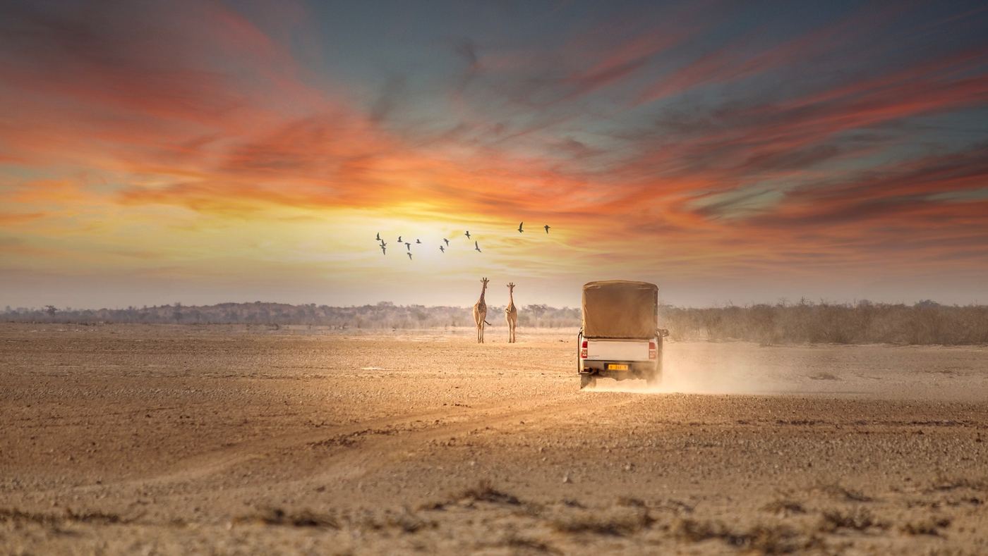 Game Drive